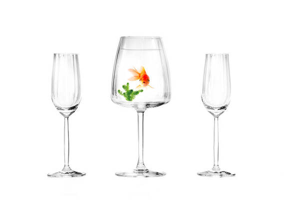 Glass Art Print featuring the photograph Wrong Fishbowl....... by Piet Haaksma