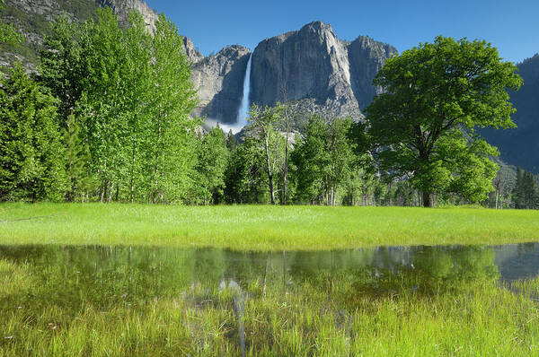 Scenics Art Print featuring the photograph Yosemite Fall In The Spring With by Gomezdavid