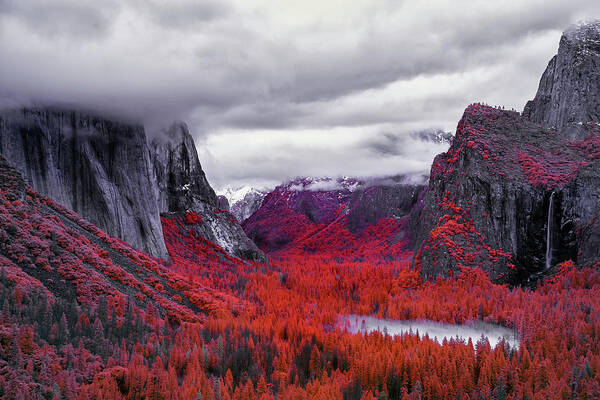 Yosemite Art Print featuring the photograph Yosemite in Red by Jon Glaser