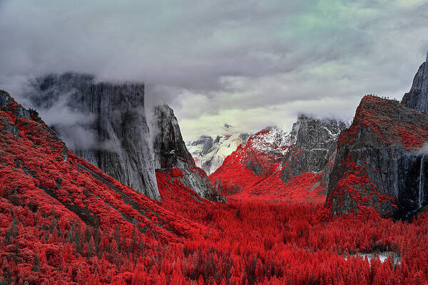 Yosemite Art Print featuring the photograph Yosemite Valley in Red by Jon Glaser