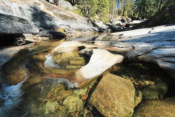 Stream Art Print featuring the photograph You Are Here ...Are You Ready To Be A Water Protector by Sean Sarsfield