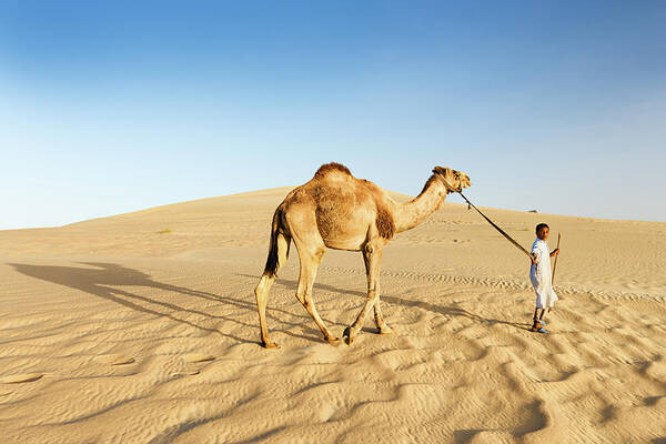 Scenics Art Print featuring the photograph Young Bedouin With Camel On Western by Hadynyah