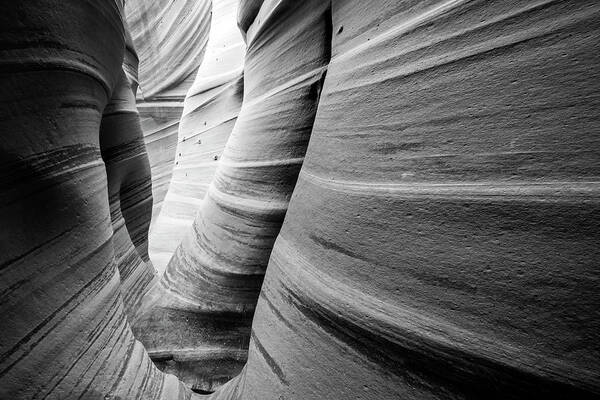 Slot Canyon Art Print featuring the photograph Zebra Black and White by Wasatch Light