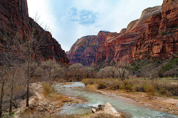 Zion Art Print featuring the photograph Zion Canyon by Mark Duehmig