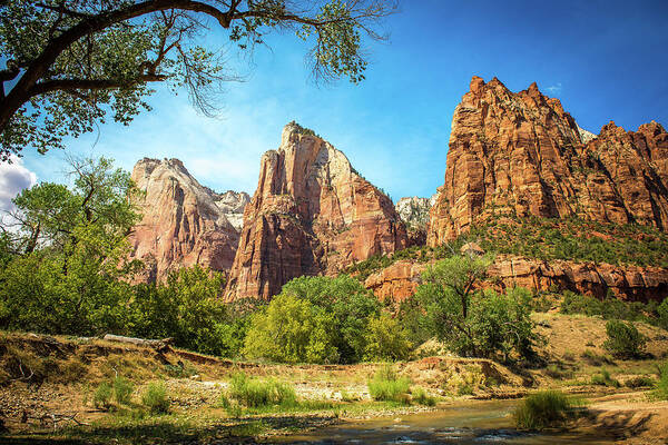 Utah Art Print featuring the photograph Zion National Park by Aileen Savage