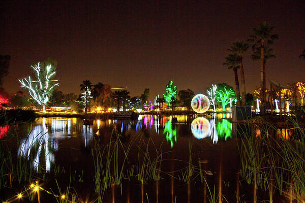  Art Print featuring the photograph Zoo Lights Reflection by Catherine Walters