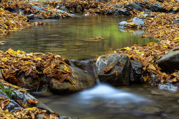Water Art Print featuring the photograph A little cascade in the Carpathian Mountains in fall season by Sebastian Radu