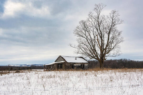 Landscape Art Print featuring the photograph Abandoned Homestead #1 by Dee Potter