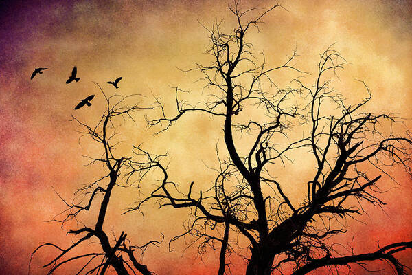 Bare Tree Art Print featuring the photograph All that Remains #1 by Michele Cornelius