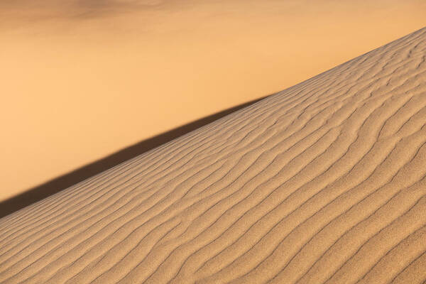 Sand Dune Art Print featuring the photograph Diagonal Sand Dune by Peter Boehringer