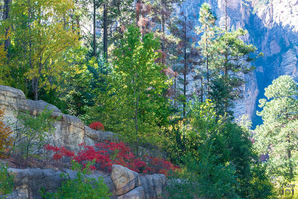Fstop101 Oak Creek Canyon Sedona Fall Colors Landscape Red Art Print featuring the photograph Fall Colors in Sedona's Oak Creek Canyon #2 by Geno