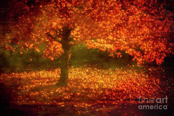 Fall Art Print featuring the photograph Falling #1 by Cathy Donohoue