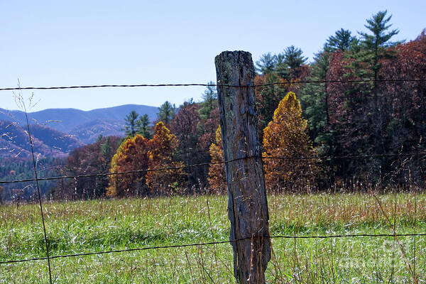 Cades Cove Art Print featuring the photograph Fence Post #1 by Phil Perkins