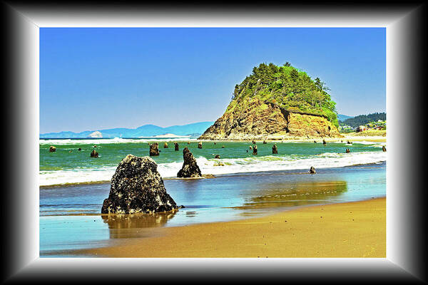 Beach Art Print featuring the photograph Ghost Stumps at Proposal Rock #1 by Richard Risely