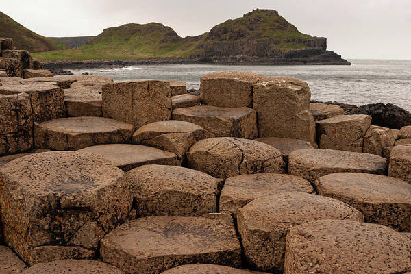 Giants Causeway Art Print featuring the photograph Giants Causeway #1 by Ian Middleton