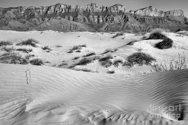Guadalupe Art Print featuring the photograph White Gypsum Dunes Below The Guadalupe Mountains Black And White by Adam Jewell