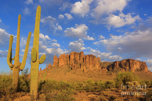 Apache Junction Art Print featuring the photograph Lost Dutchman State Park, Arizona #1 by Henk Meijer Photography