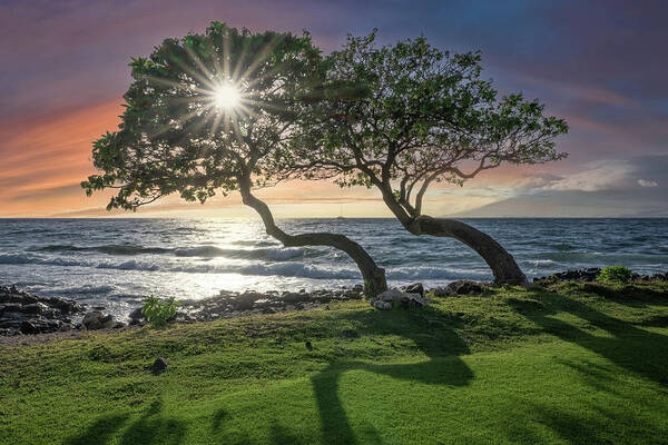 Beach Art Print featuring the photograph Maui Sunset #1 by Steve Berkley
