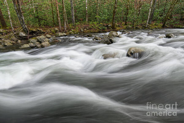 Middle Prong Little River Art Print featuring the photograph Middle Prong Little River 57 by Phil Perkins
