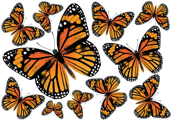 Monarch Butterflies Art Print featuring the digital art Monarch Butterflies by Eclectic at Heart