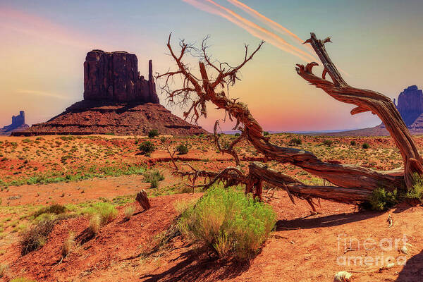 Monument Valley Art Print featuring the photograph Monument Valley, Utah #1 by Lev Kaytsner