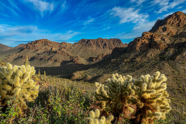 Golden Mountain Desert Saguaro Cactus Blue Sky Rock Cliffs Old Tucson Fstop101 Landscape Art Print featuring the photograph Mountains of West Tucson #2 by Geno