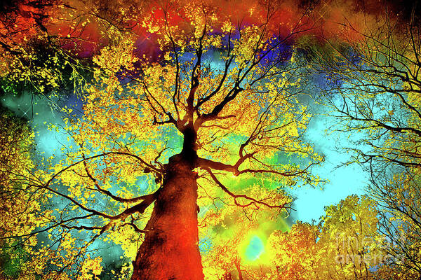 Autumn Sky Art Print featuring the digital art Night sky autumn #1 by Gina Signore