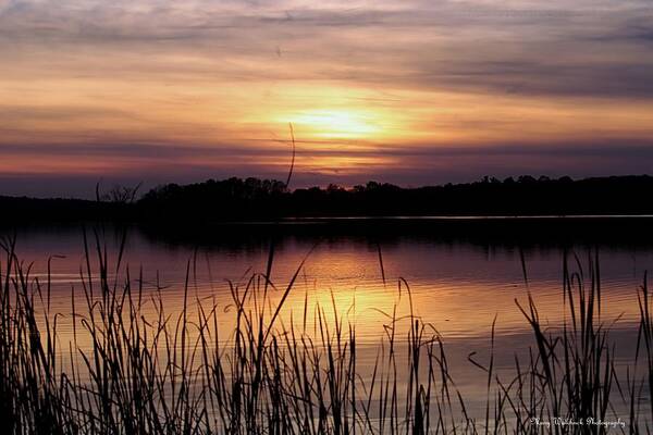 Nature Art Print featuring the photograph November Sunset #1 by Mary Walchuck