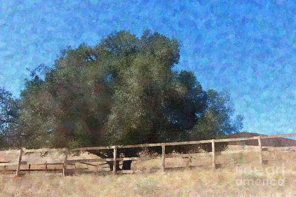 Tree Art Print featuring the photograph Old Oak Tree #1 by Katherine Erickson