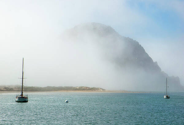 Fog Art Print featuring the photograph Stillness in the Bay by Gina Cinardo