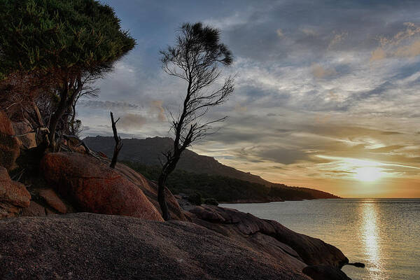 Honeymoon Bay Art Print featuring the photograph Sunset at Honeymoon Bay #1 by Andrei SKY