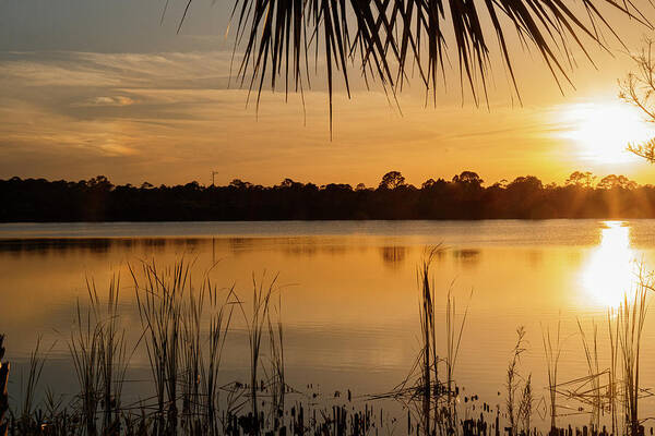 Sunset Art Print featuring the photograph Sunset #1 by Les Greenwood