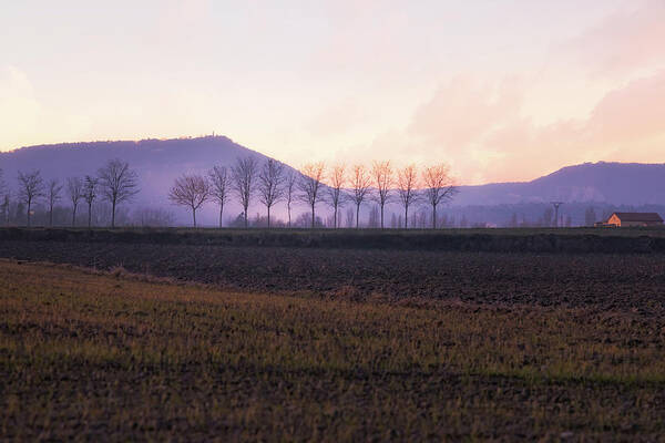 Agriculture Art Print featuring the photograph The mist settles in the valley after sunset by Jordi Carrio Jamila