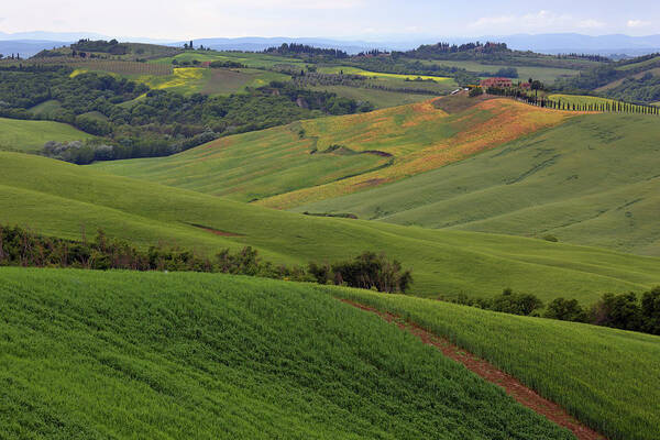 Field Art Print featuring the photograph Tuscany farmland hill fields in Italy #1 by Mikhail Kokhanchikov