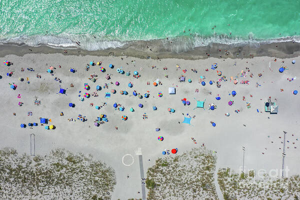 Beach Art Print featuring the photograph Venice Beach #1 by Nick Kearns