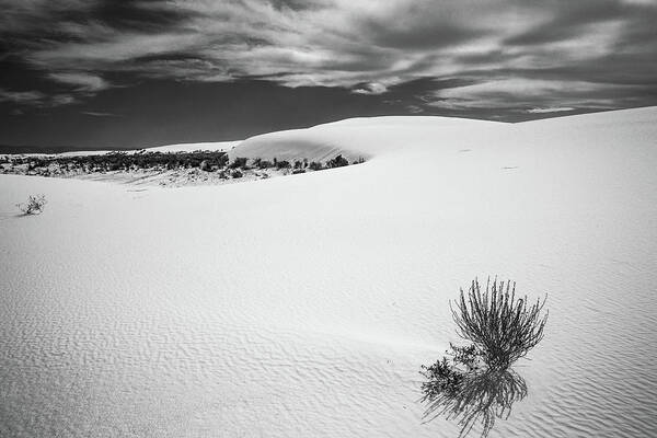White Sands Art Print featuring the photograph White Sands by Candy Brenton