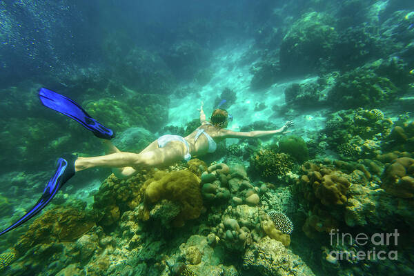 Surin Islands Art Print featuring the photograph Woman bikini apnea Surin Islands #1 by Benny Marty