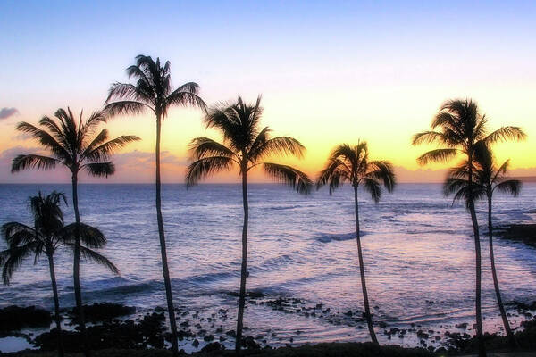 Hawaii Art Print featuring the photograph Poipu Palms by Robert Carter