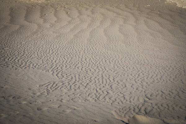 California Art Print featuring the photograph Mesquite Flat Sand Dunes #10 by Jonathan Babon