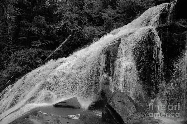 3715 Art Print featuring the photograph Bald River Falls #12 by FineArtRoyal Joshua Mimbs