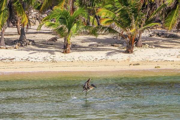 Costa Maya Mexico Art Print featuring the photograph Costa Maya Mexico #15 by Paul James Bannerman