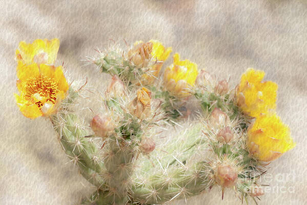 Cactus Art Print featuring the photograph 1624 Watercolor Cactus Blossom by Kenneth Johnson