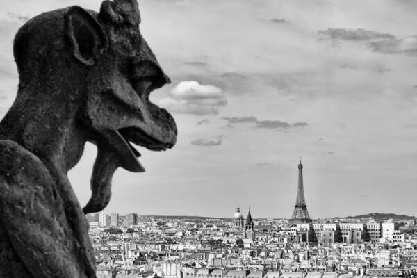 France Art Print featuring the photograph Gargoyle of the Notre Dame Cathedral, Paris, France #2 by Daniel.Candal