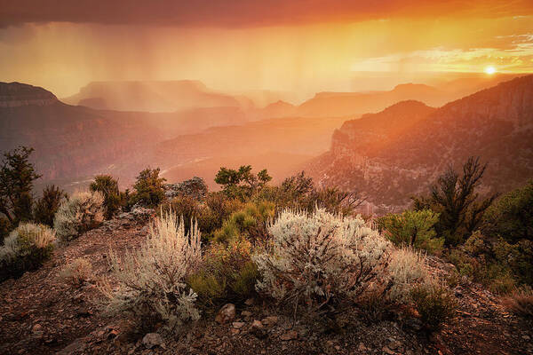 Grand Canyon National Park Art Print featuring the photograph Grand Canyon by Whit Richardson
