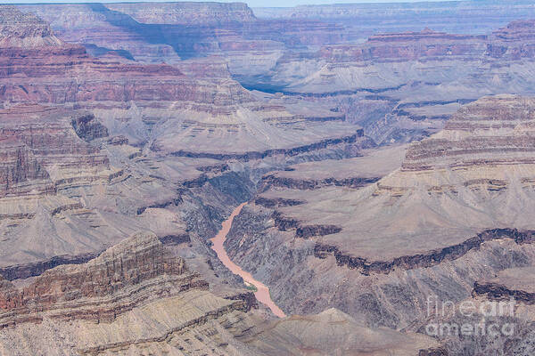 The Grand Canyon And Colorado River Art Print featuring the digital art The Grand Canyon and Colorado River by Tammy Keyes