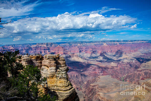 The Grand Canyon South Rim Art Print featuring the digital art The Grand Canyon South Rim by Tammy Keyes