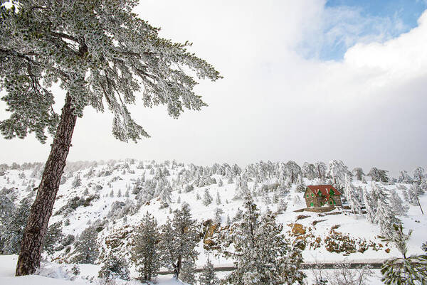 Wintertime Art Print featuring the photograph Winter Landscape, Troodos mountains Cyprus #5 by Michalakis Ppalis