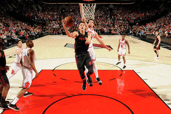 Nba Pro Basketball Art Print featuring the photograph Zach Collins by Cameron Browne