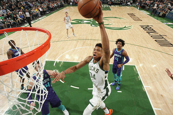 Nba Pro Basketball Art Print featuring the photograph Giannis Antetokounmpo by Gary Dineen