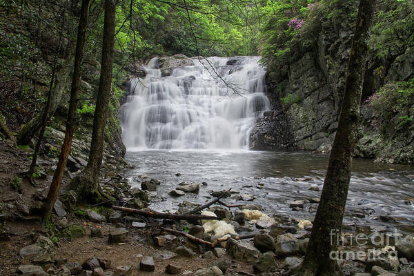 Laurel Falls Art Print featuring the photograph Laurel Falls 2 #3 by Phil Perkins